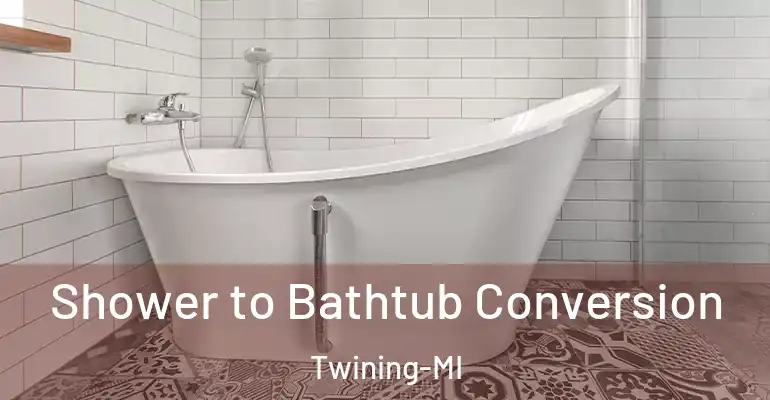 inner Bathroom imggen Shower to Bathtub Conversion Twining-MI