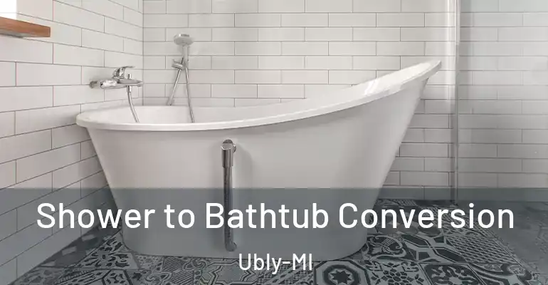 inner Bathroom imggen Shower to Bathtub Conversion Ubly-MI