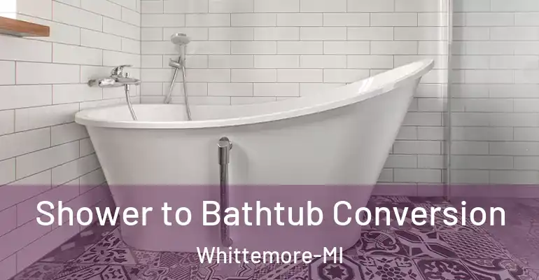 inner Bathroom imggen Shower to Bathtub Conversion Whittemore-MI