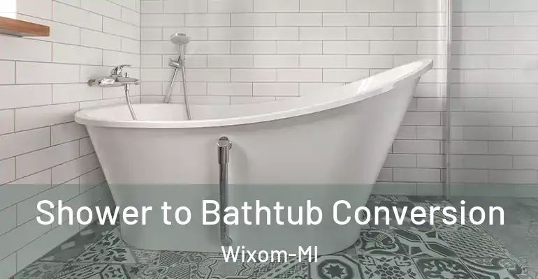 inner Bathroom imggen Shower to Bathtub Conversion Wixom-MI