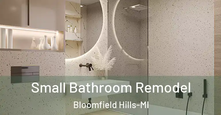 inner Bathroom imggen Small Bathroom Remodel Bloomfield Hills-MI
