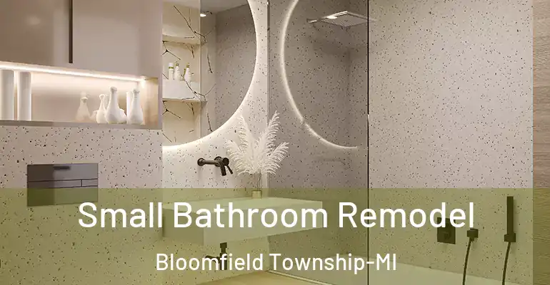 inner Bathroom imggen Small Bathroom Remodel Bloomfield Township-MI