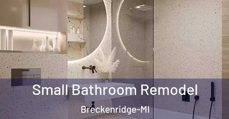 inner Bathroom imggen Small Bathroom Remodel Breckenridge-MI