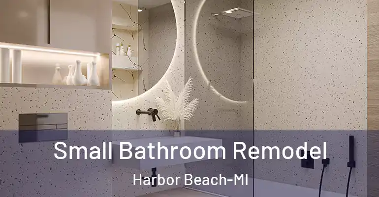 inner Bathroom imggen Small Bathroom Remodel Harbor Beach-MI