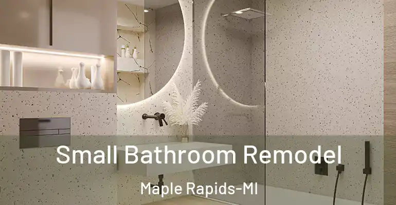 inner Bathroom imggen Small Bathroom Remodel Maple Rapids-MI