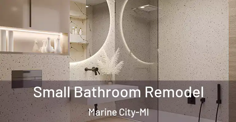 inner Bathroom imggen Small Bathroom Remodel Marine City-MI