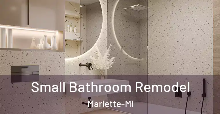 inner Bathroom imggen Small Bathroom Remodel Marlette-MI