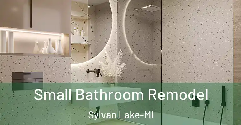 inner Bathroom imggen Small Bathroom Remodel Sylvan Lake-MI