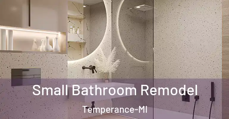 inner Bathroom imggen Small Bathroom Remodel Temperance-MI