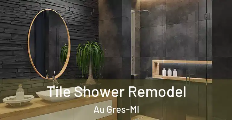 inner Bathroom imggen Tile Shower Remodel Au Gres-MI