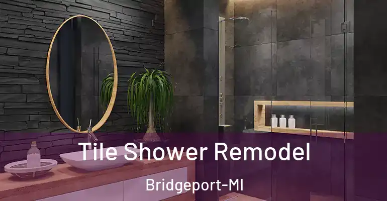 inner Bathroom imggen Tile Shower Remodel Bridgeport-MI