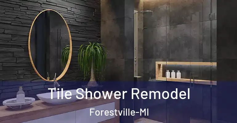 inner Bathroom imggen Tile Shower Remodel Forestville-MI