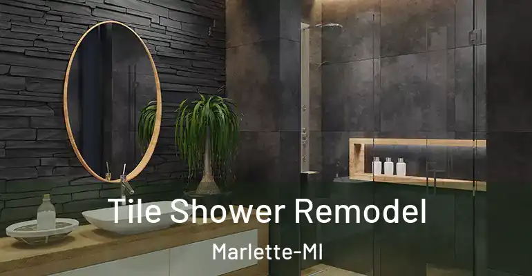 inner Bathroom imggen Tile Shower Remodel Marlette-MI