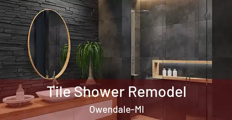 inner Bathroom imggen Tile Shower Remodel Owendale-MI