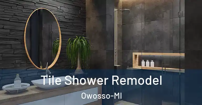 inner Bathroom imggen Tile Shower Remodel Owosso-MI