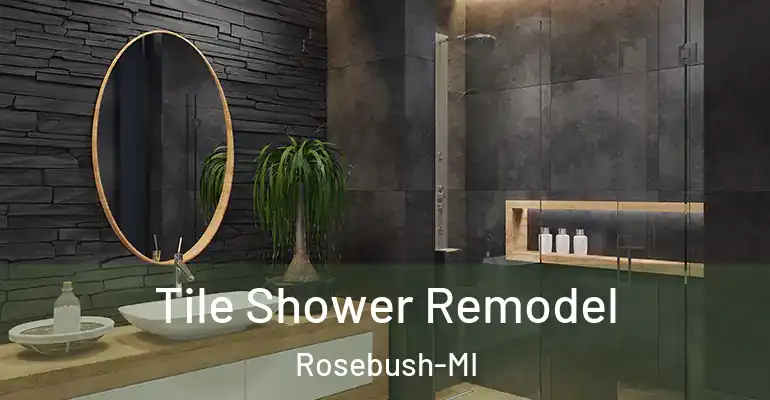 inner Bathroom imggen Tile Shower Remodel Rosebush-MI