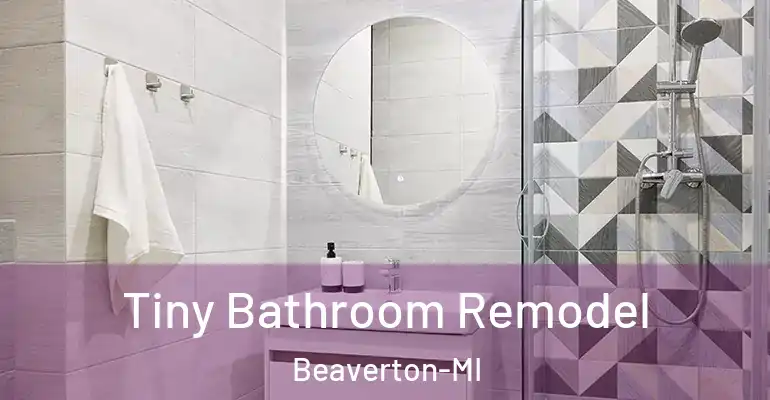 inner Bathroom imggen Tiny Bathroom Remodel Beaverton-MI