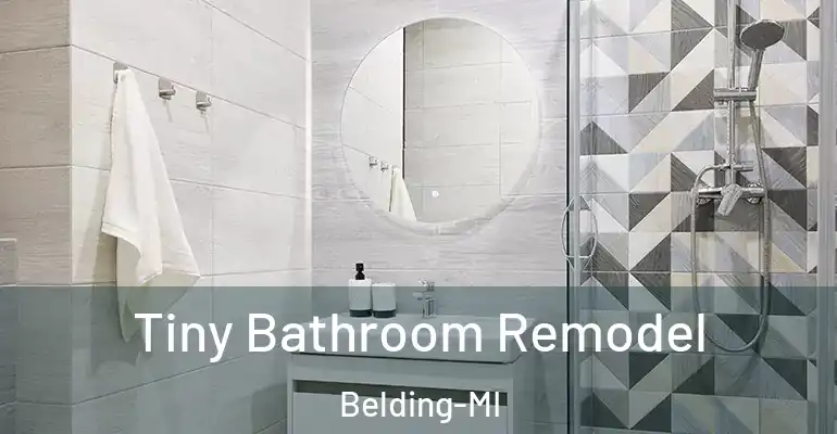 inner Bathroom imggen Tiny Bathroom Remodel Belding-MI