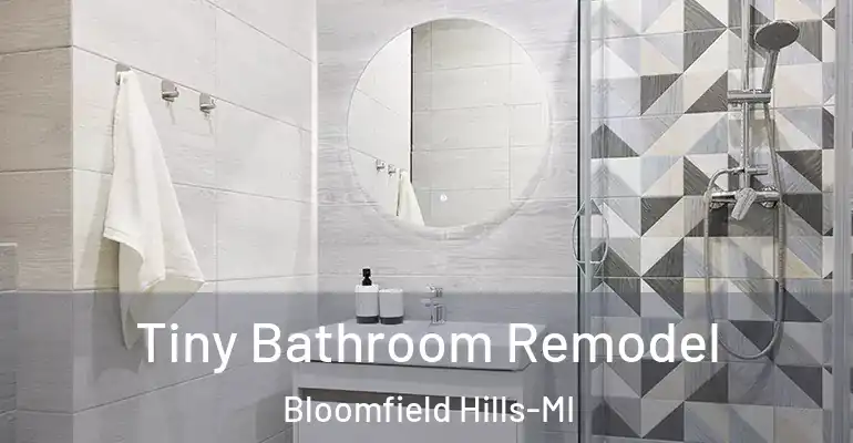 inner Bathroom imggen Tiny Bathroom Remodel Bloomfield Hills-MI