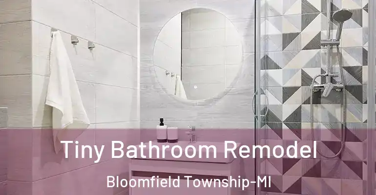 inner Bathroom imggen Tiny Bathroom Remodel Bloomfield Township-MI