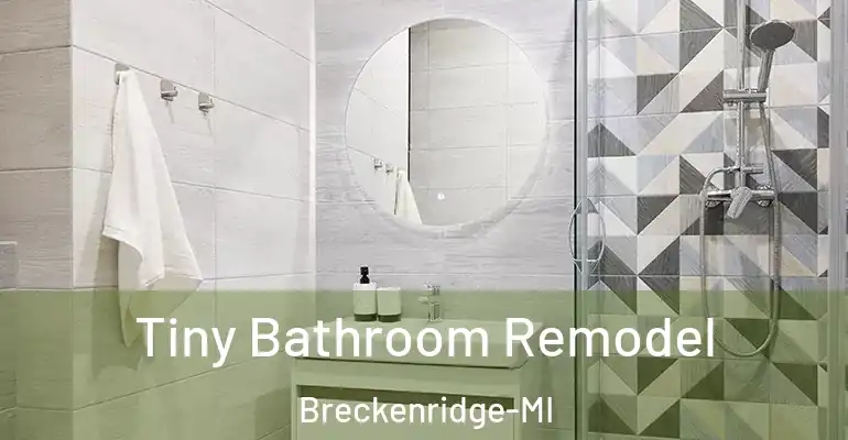 inner Bathroom imggen Tiny Bathroom Remodel Breckenridge-MI