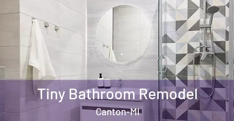 inner Bathroom imggen Tiny Bathroom Remodel Canton-MI