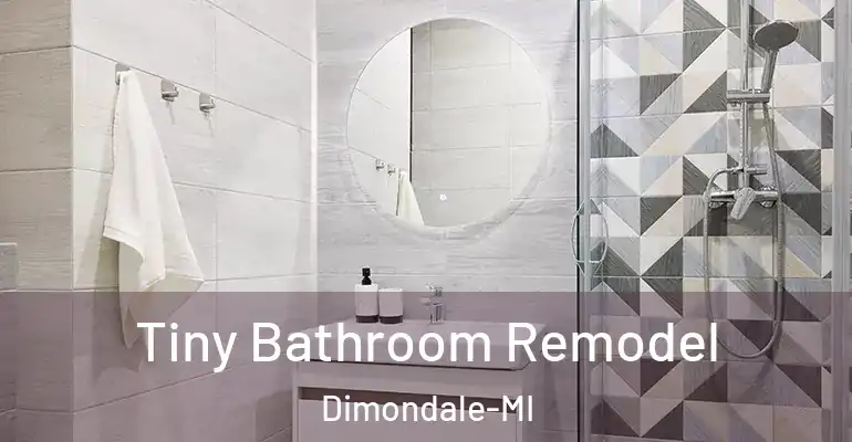 inner Bathroom imggen Tiny Bathroom Remodel Dimondale-MI