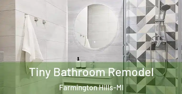 inner Bathroom imggen Tiny Bathroom Remodel Farmington Hills-MI