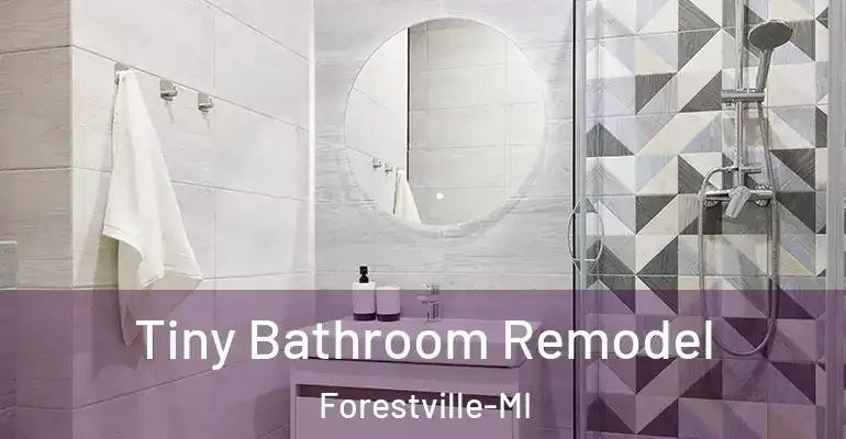 inner Bathroom imggen Tiny Bathroom Remodel Forestville-MI