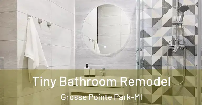 inner Bathroom imggen Tiny Bathroom Remodel Grosse Pointe Park-MI