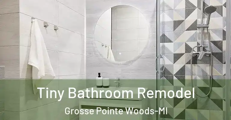 inner Bathroom imggen Tiny Bathroom Remodel Grosse Pointe Woods-MI