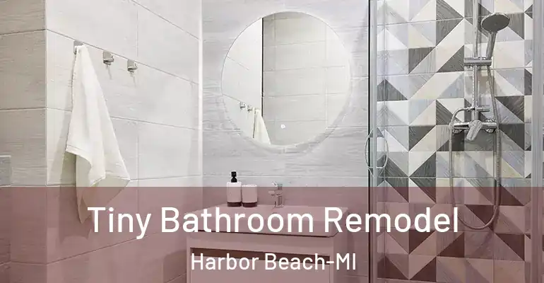 inner Bathroom imggen Tiny Bathroom Remodel Harbor Beach-MI