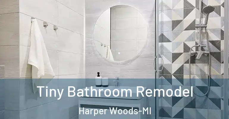 inner Bathroom imggen Tiny Bathroom Remodel Harper Woods-MI