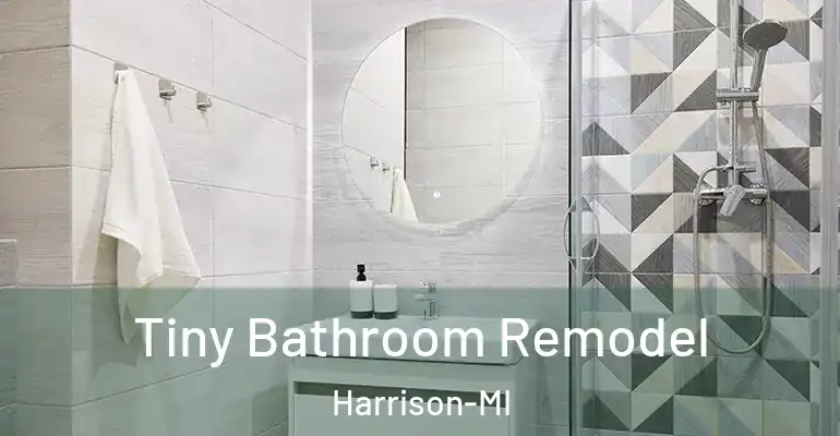 inner Bathroom imggen Tiny Bathroom Remodel Harrison-MI