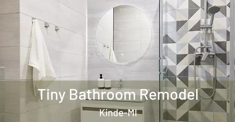 inner Bathroom imggen Tiny Bathroom Remodel Kinde-MI