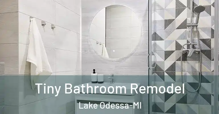 inner Bathroom imggen Tiny Bathroom Remodel Lake Odessa-MI