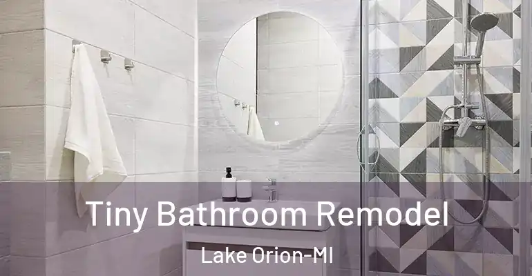 inner Bathroom imggen Tiny Bathroom Remodel Lake Orion-MI