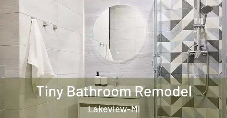 inner Bathroom imggen Tiny Bathroom Remodel Lakeview-MI