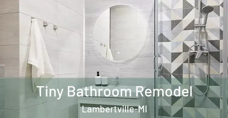 inner Bathroom imggen Tiny Bathroom Remodel Lambertville-MI