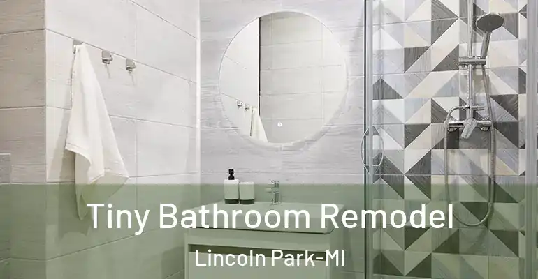 inner Bathroom imggen Tiny Bathroom Remodel Lincoln Park-MI