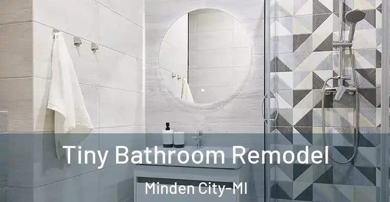 inner Bathroom imggen Tiny Bathroom Remodel Minden City-MI