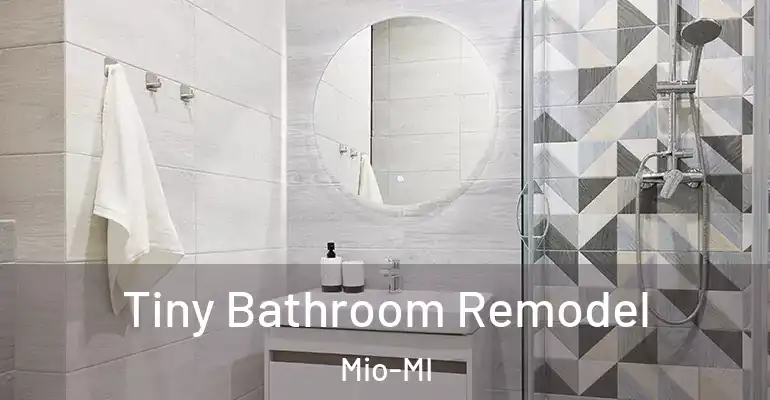 inner Bathroom imggen Tiny Bathroom Remodel Mio-MI