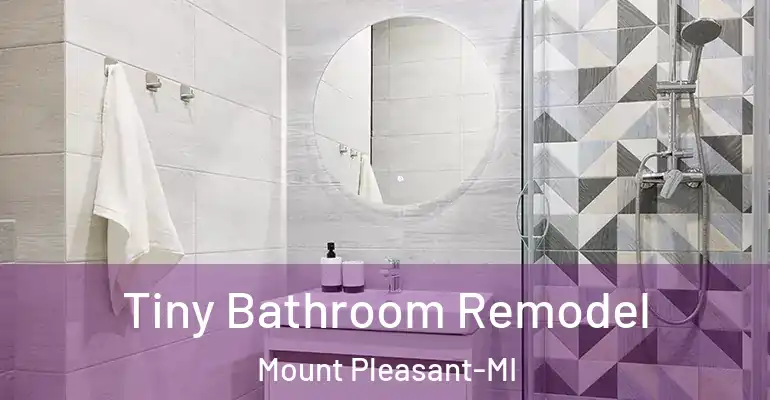 inner Bathroom imggen Tiny Bathroom Remodel Mount Pleasant-MI