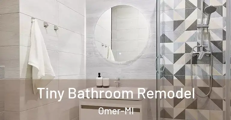 inner Bathroom imggen Tiny Bathroom Remodel Omer-MI