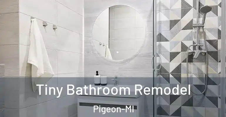 inner Bathroom imggen Tiny Bathroom Remodel Pigeon-MI