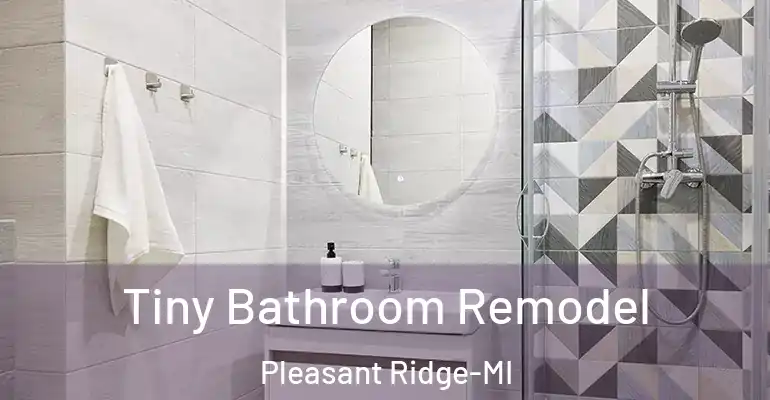 inner Bathroom imggen Tiny Bathroom Remodel Pleasant Ridge-MI