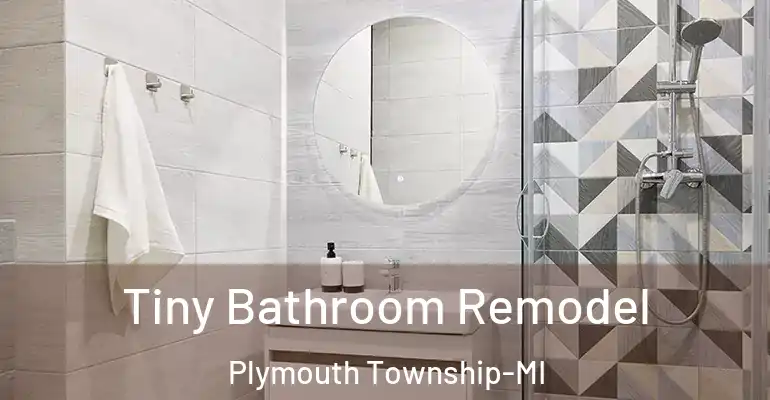 inner Bathroom imggen Tiny Bathroom Remodel Plymouth Township-MI