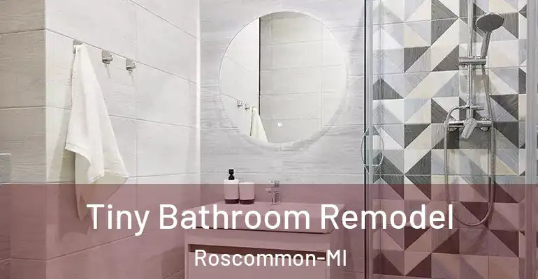 inner Bathroom imggen Tiny Bathroom Remodel Roscommon-MI