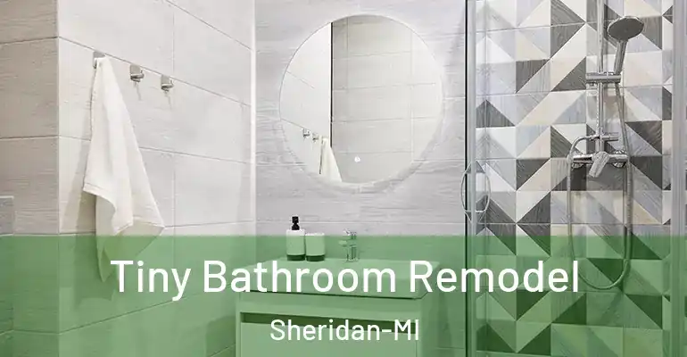 inner Bathroom imggen Tiny Bathroom Remodel Sheridan-MI