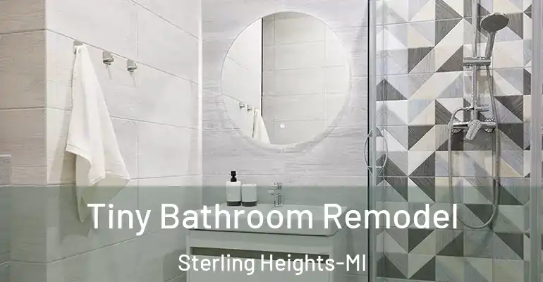 inner Bathroom imggen Tiny Bathroom Remodel Sterling Heights-MI